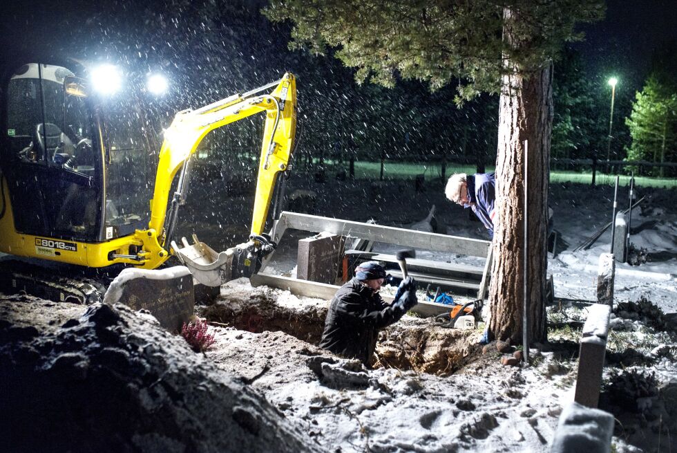Det hjelp ikke med gravemaskin når det stod et tre i veien for at kisten skulle få plass i hullet.
 Foto: Frøydis Falch Urbye