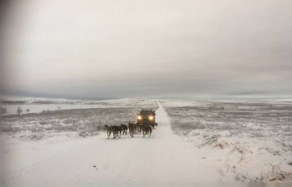 Morgen over Finnmarksvidden