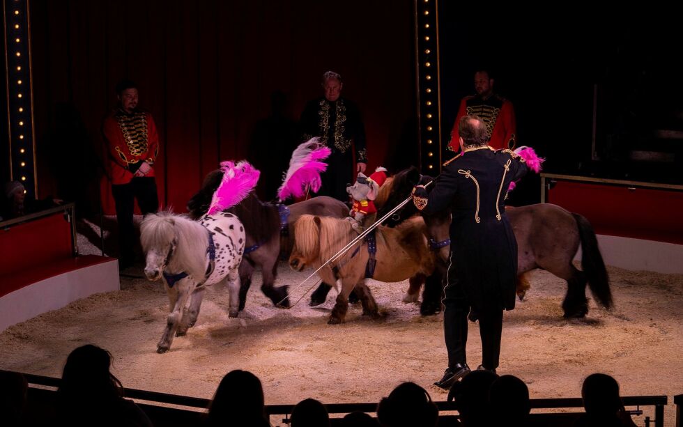 Sirkusdirektør Jan Ketil Smørdal tar med seg ponniene sine til Lakselv og Finnmark.
 Foto: Cirkus Agora