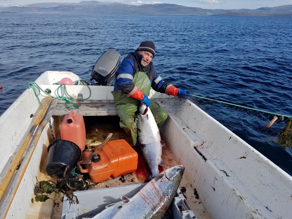 Jan Larsen fra Vestertana har fisket et helt liv ute i Tanafjorden. Sist uke ble det godt med laks i båten på ettermiddagens røkting siste fiskedag.
 Foto: Tom Hardy