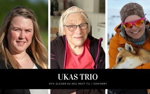 Hva gleder du deg mest til i sommer?
