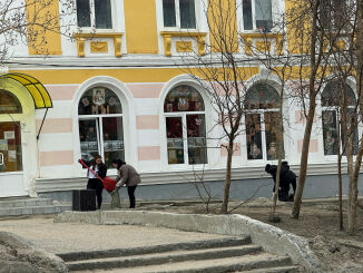 Stor ryddedugnad i Nikel