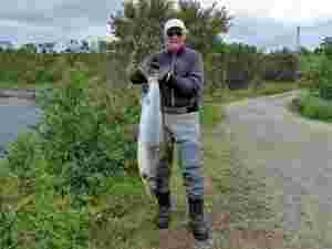 Ligger an til rekord­fiske i flere elver