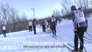 Porsangercup i lysløypa