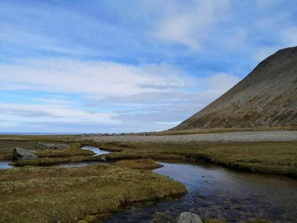 Nordkapp kommune og Bærvika