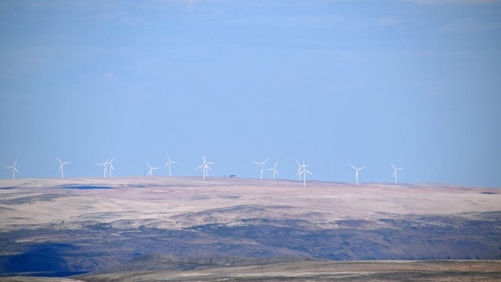 Illustrasjonsfoto som viser vindmøllene i Berlevåg kommune.
 Foto: Hilde Porsanger