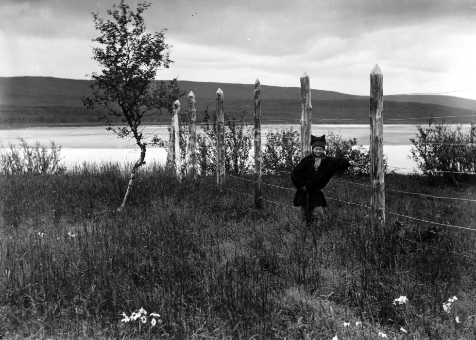 Ung samegutt ved et reingjerde i Tana rundt år 1900
 Foto:  Ellisif Wessel