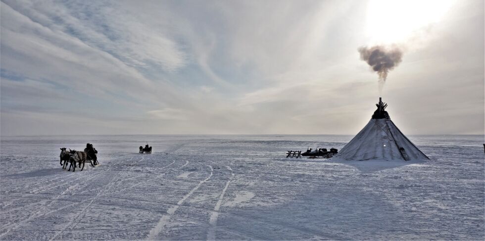 Foto: Vegard Seljemo