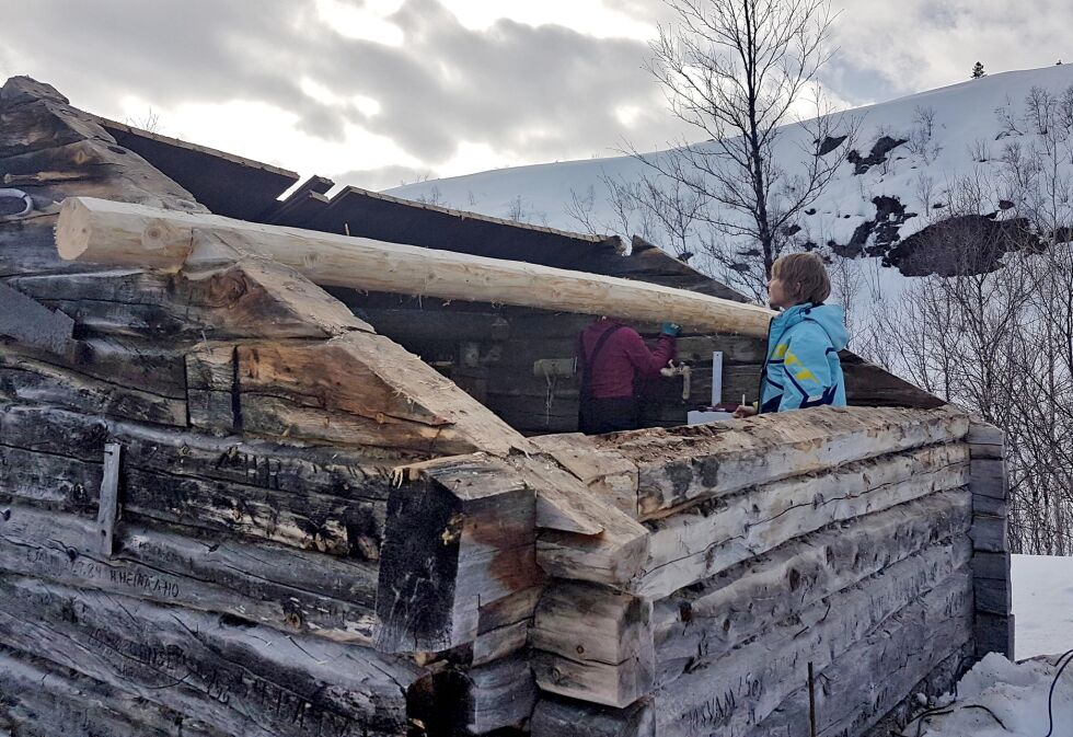 Nå får koia ved finskegrensa tett tak.
 Foto: Svein Tore Sivertsen