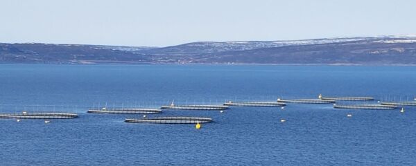 Havbruksfondet skal utvikle havbruk og samfunn