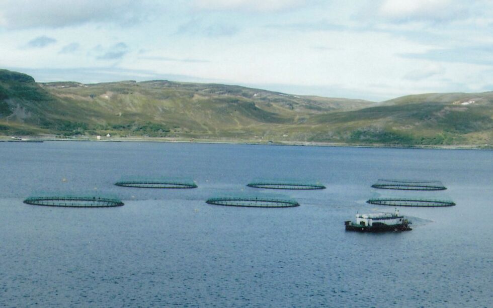 Grieg-familien har tjent store penger på anlegget i Vedbotn. Hvor mye har lokale fiskere i Porsangerfjorden tapt?
 Foto: John Gustavsen