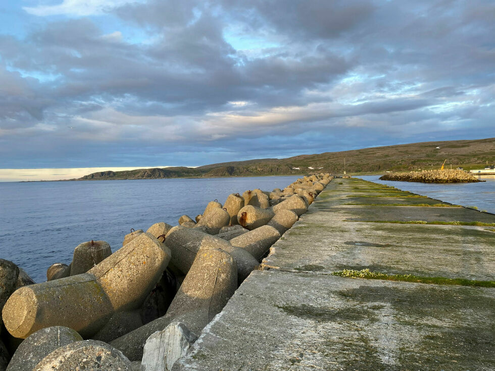 Hele 11.000 tetrapoder ble benyttet i byggingen av moloene i Berlevåg.
 Foto: Roger Albrigtsen