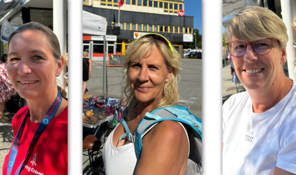 Har du plukket multer i år?