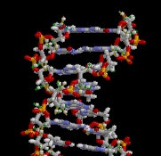DNA animation