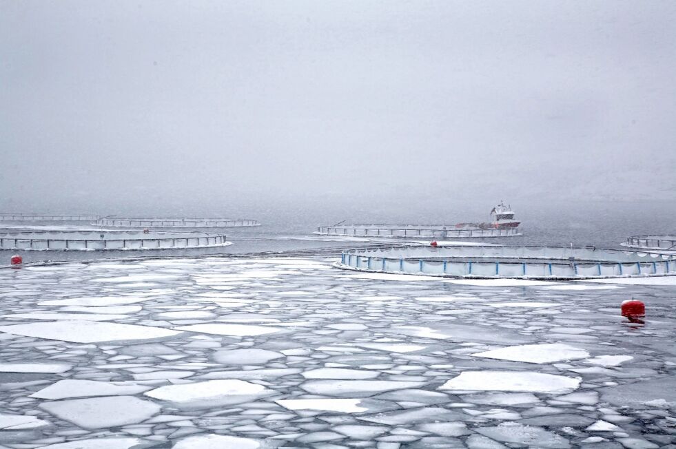 Foto: Geir Johansen (illustrasjon)
