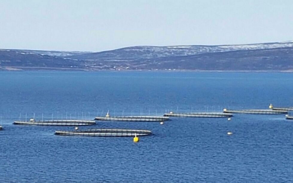 8 av 13 oppdrettsområder får anledning til å øke produksjonen av oppdrettsfisk, deriblant områder i hele Nord-Norge.
Illustrasjonsfoto: Torbjørn Ittelin