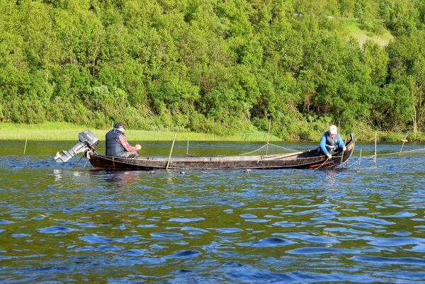 Åpner utstilling om den rike laksekulturen