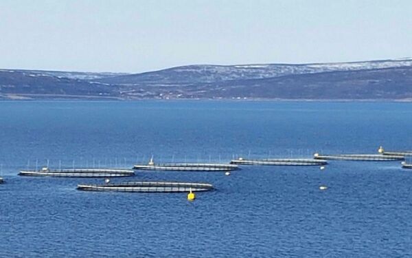 Får utvide oppdrettsproduksjonen i hele Finnmark