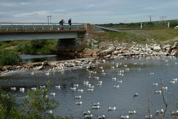 Varanger i endring – hva betyr det for oss?