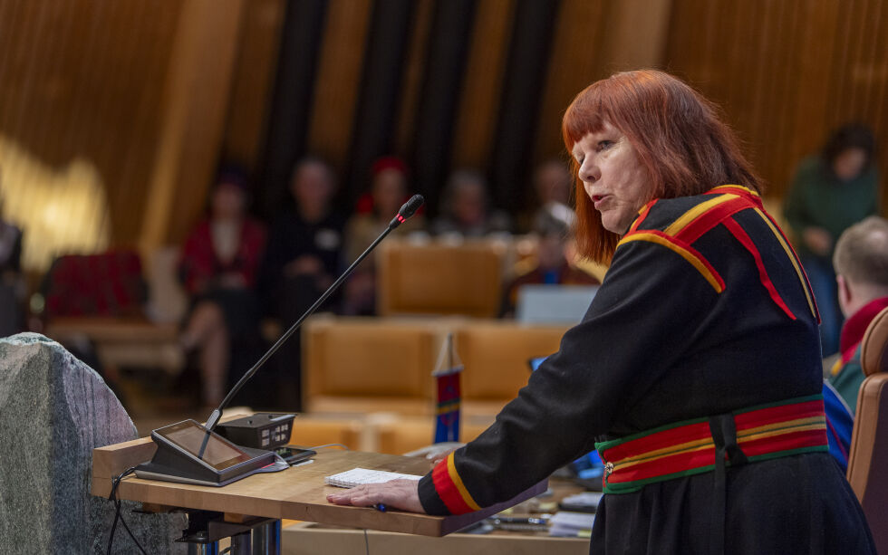Ann Elise Finbog, her avbildet under plenumsmøte i mars.
 Foto: Cecilie Bergan Stuedal