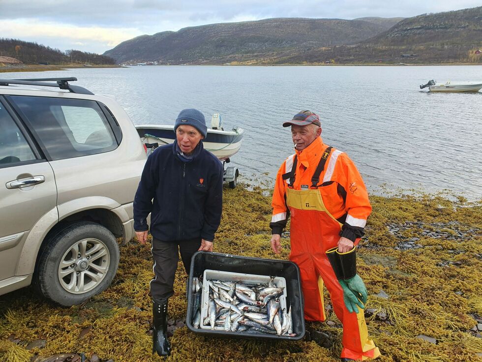 Torgeir Aslaksen (til venstre) og Asbjørn Andersen har fisket sild i Smalfjord sist uke og sier seg fornøyde med 30 kilo i stampen. Alle foto: Tom Hardy