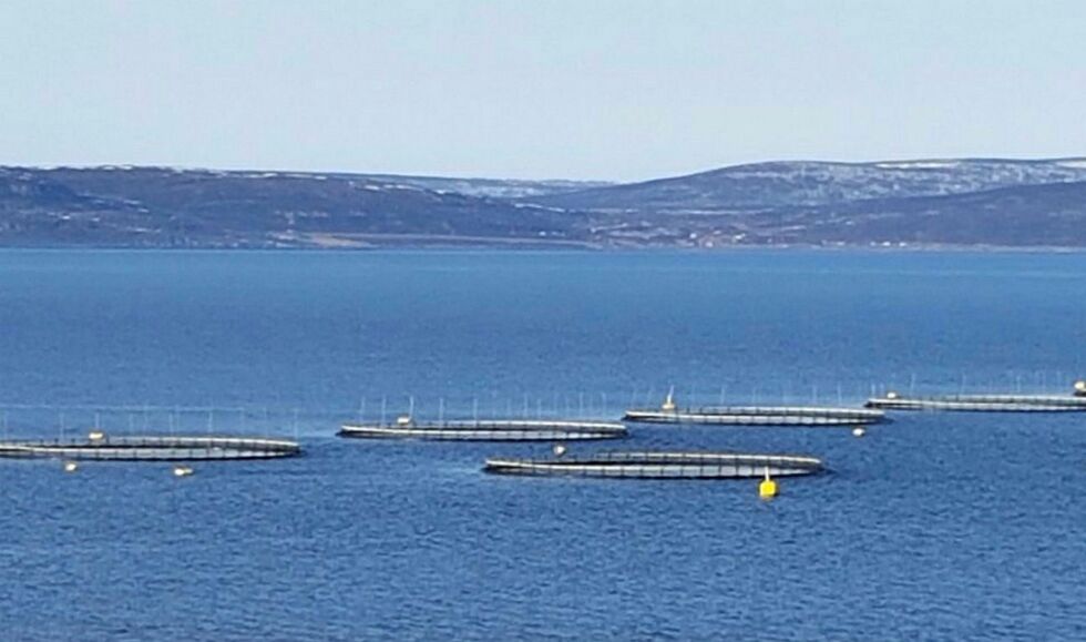 Kommuner og fylkeskommuner kan vente seg utbetaling fra Havbruksfondet i løpet av desember – dersom Stortinget vedtar regjeringens forslag.
 Foto: Torbjørn Ittelin