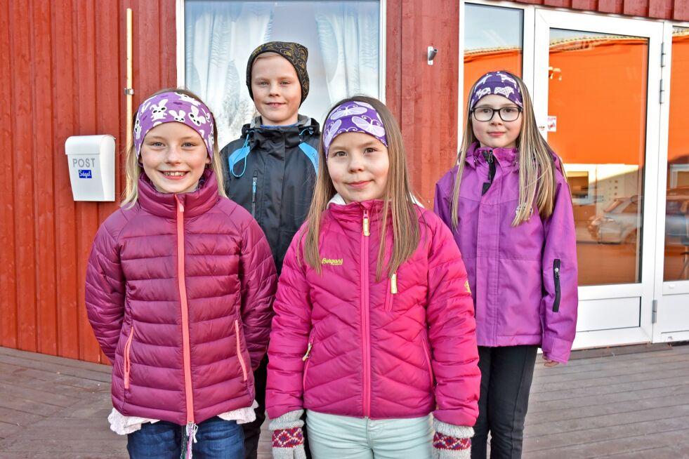 Fredag er det åpen dag på Lakselv barneskole og Aurora Johnsen, Tord Hesjevik, Tomine Thomassen og Nina Sofie Kemi inviterer alle til å ta seg en tur.
 Foto: Bjørn Arne Johansen