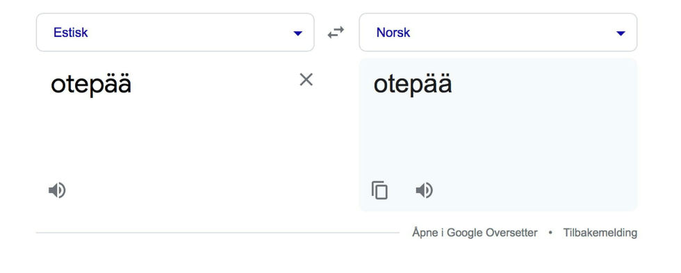 Skjermdump fra Google oversetter