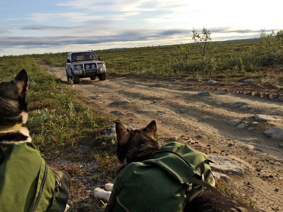 Folket og politikere synes å være sånn cirka i takt hva angår fremtidig forvaltning av utmarka i Finnmark.
 Foto: Tom Hardy (Arkiv)