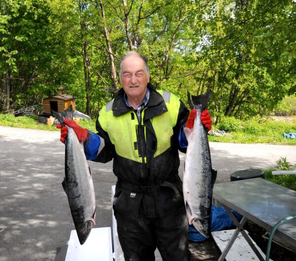 Pangstart på laksefisket for Steinar (76)