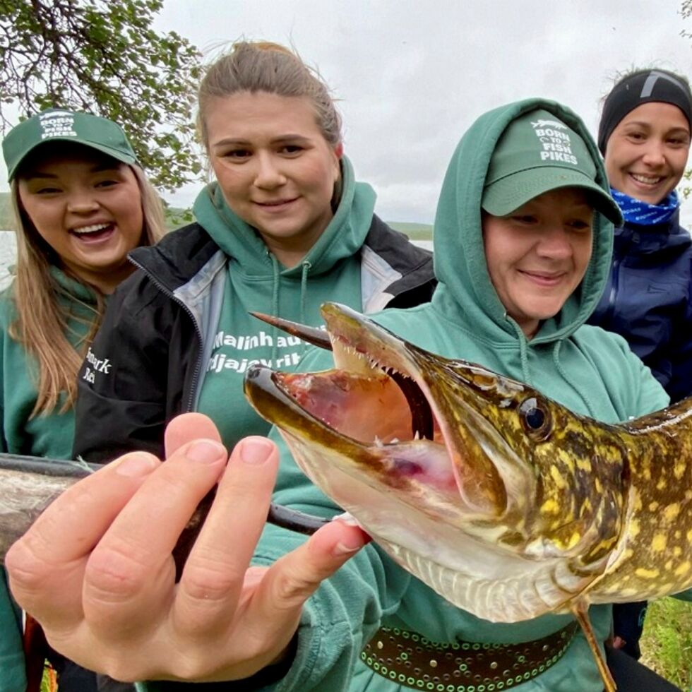 Her er damene bak kontoen «Jenter som fisker gjedde». Fra venstre: Ánne Hedvig Salmi Nordsletta, Malin Haugli, Lill Tove Lindi og Biret Risten Eira.
 Foto: Privat