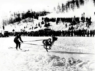 Reinkappkjøring i Neiden i 1964