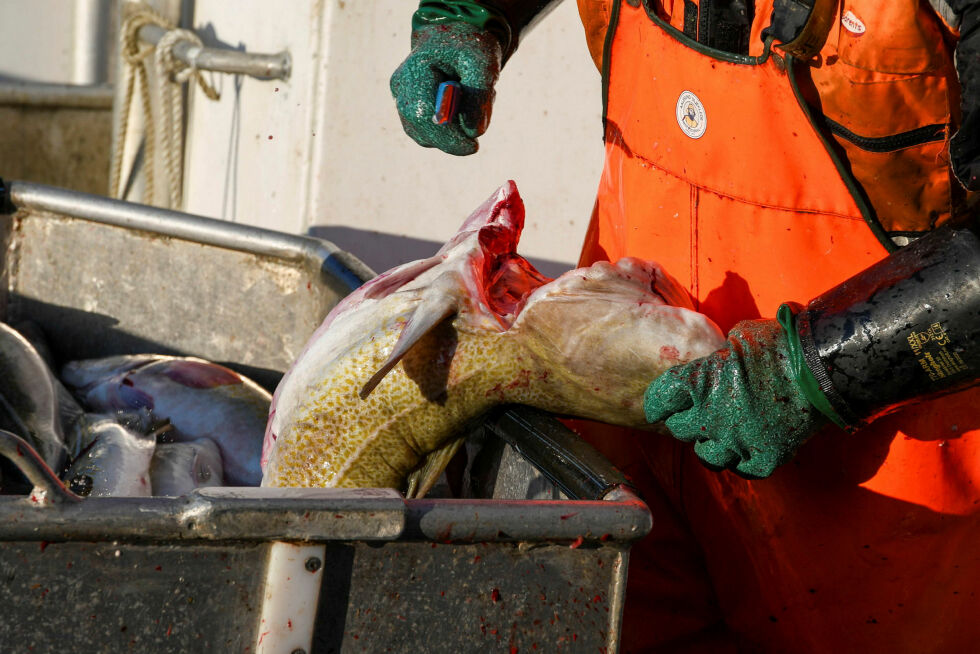 I tillegg til spørreundersøkelser blant fiskerne, skal forskerne også gjennomføre flere dybdeintervjuer med fiskere som driver fiske i spesielt problematiske områder.
Illustrasjonsfoto
 Foto: Irene Andersen