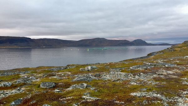 Grieg vil ha nytt anlegg i Porsangerfjorden