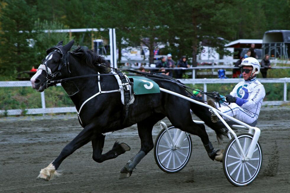 For første gang fikk Pasvik Travpark besøk av en hest som har tjent inn over én million. «Myr Faksen» satte banerekord med tiden 2:28,1 og km tid på 1:28,1 på 1.680 meter og vant begge løp den deltok i.
 Foto: Silje L Kvammen