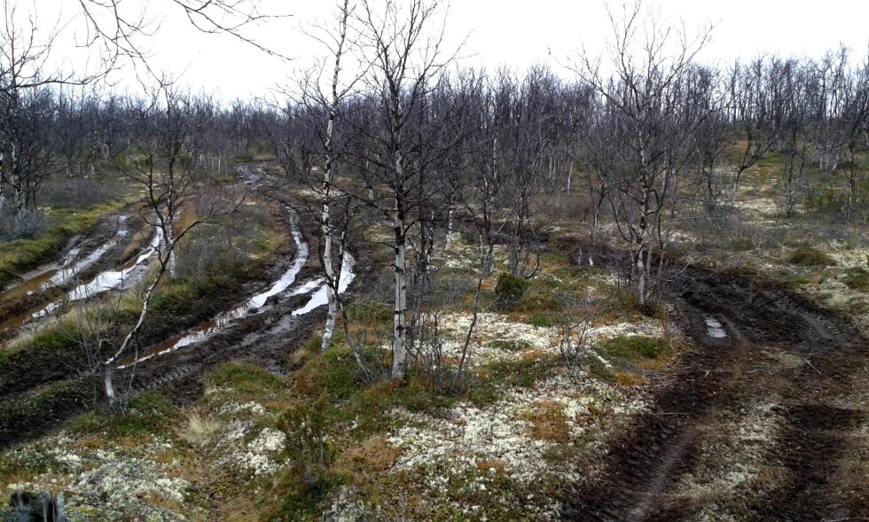 I tillegg til helårsløyper og skuterløyper har Karasjok kommunen opprettet 130 såkalte displøyper for barmarkskjøring i alle attraktive deler av kommunen der det høstes bær, fisk og vilt.
 Foto: Privat