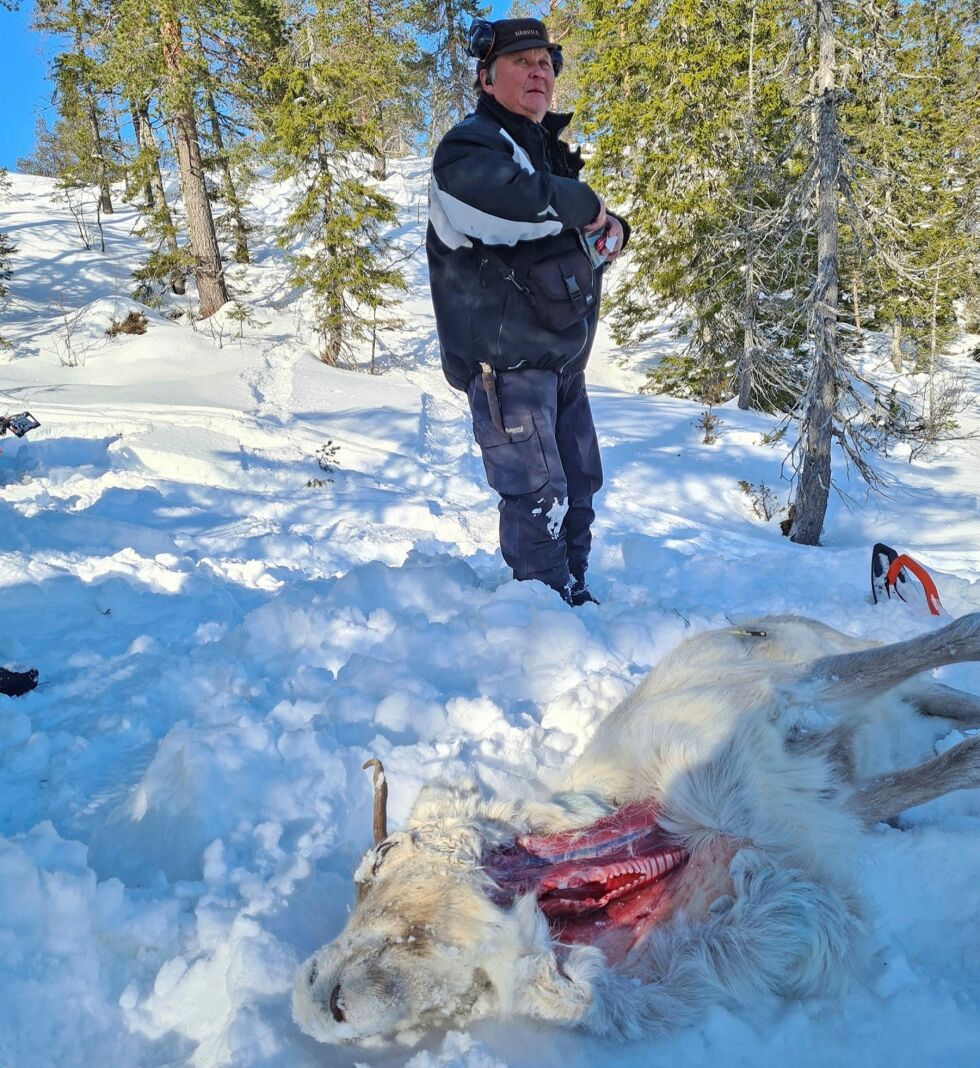 Lars To­ven ute og do­ku­men­te­rer rovviltdrepte rein sam­men med Stat­ens na­tur­opp­syn (SNO).
 Foto: Privat