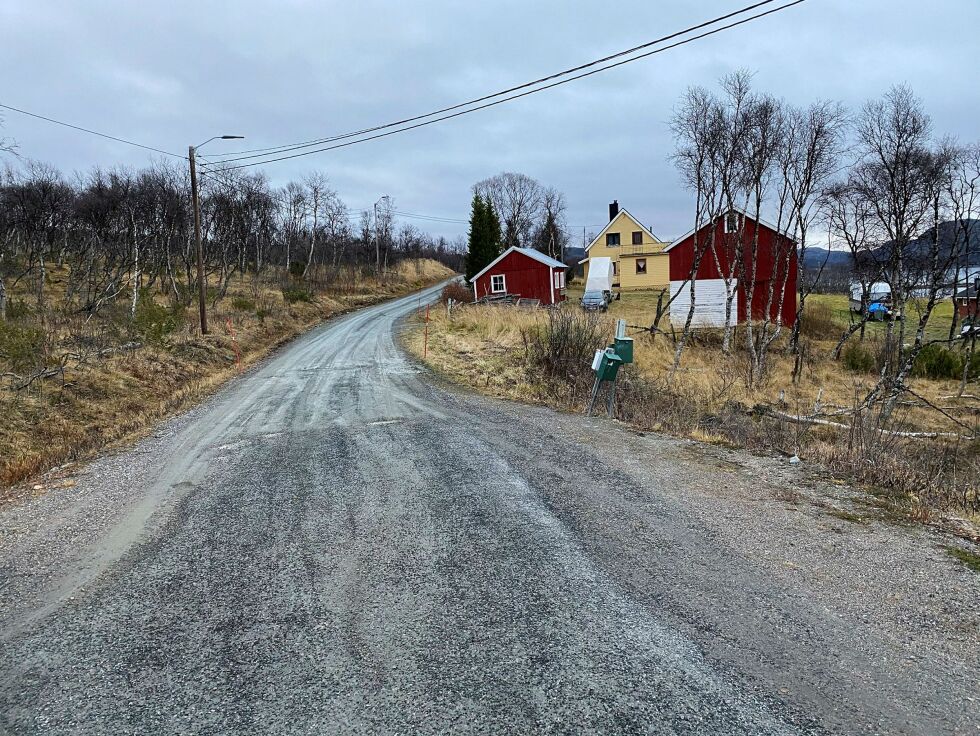 I Karisariveiens tilfelle så utvalget for plan og samferdsel bort fra Spåkrådets anbefalinger. Veien går fra E6 til Sopnes.
 Foto: Hallgeir Henriksen