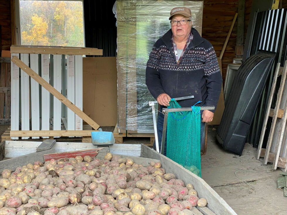 Mes­te­part­en av pote­tene bli satt i sekker før de gis bort. Sjøl spiser han av hel­se­mes­sige grun­ner ikke så mye potet lenger.
 Foto: Hallgeir Henriksen