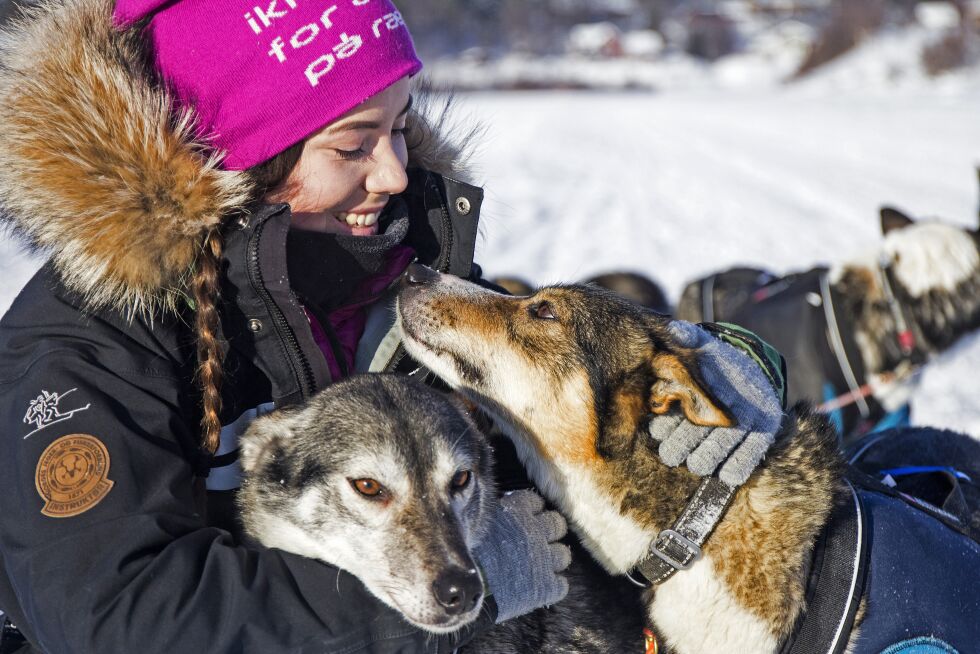Det var i 2014 at Silje Máret fikk realisert drømmen om å bli hundekjører.
 Foto: June Helén Bjørnback
