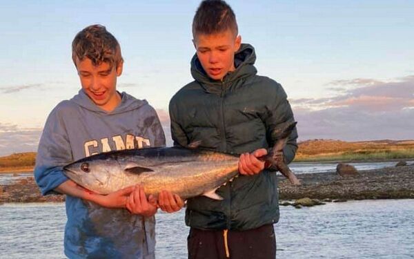 Fikk denne tunfisken i Vesterelva
