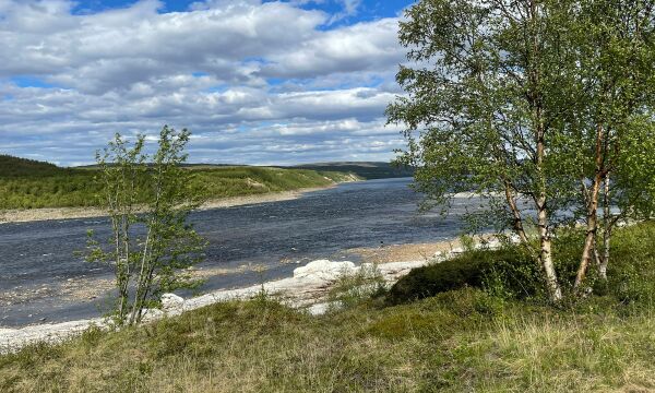 Økt kontroll av laksefiske