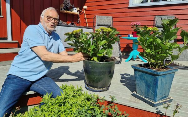 Avisveteranen vil fortsette å skrive