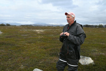 Han er ny leder i BirdLife Finnmark