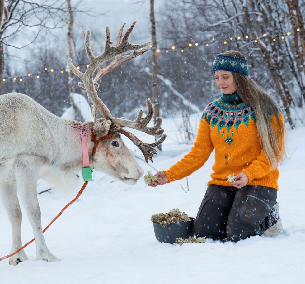 Ira Máre Bæhr som mater et av deres mange reinsdyr.
 Foto: Privat