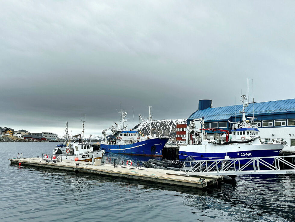 Her, i Honningsvåg indre havn, skulle flytende badstue erstatte fiskefartøy i forbindelse med det nye torget. Badstuprosjektet ble avsluttet. Deretter viste det seg at det nye Honningsvåg torg bare var skisser, og at havna allerede hadde søkt Kystverket om tilskudd til kommunale fiskerihavntiltak.
 Foto: Jan Olsen
