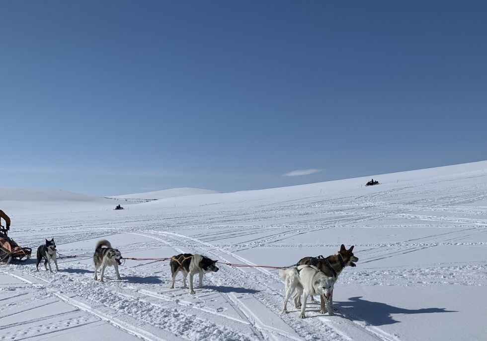 Illustrasjonsfoto: Lisbeth Myrvang