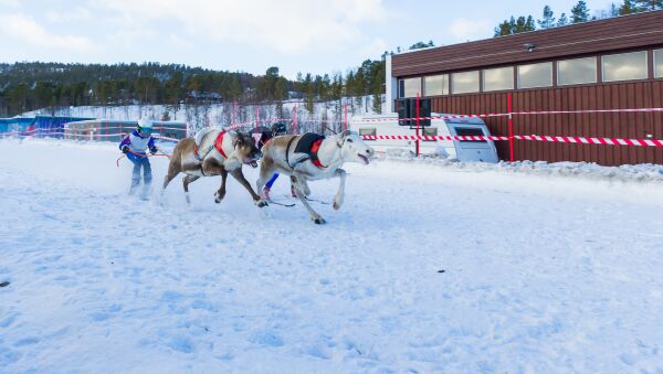 Full fres under Karasprinten 2016