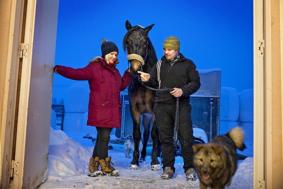 Anne Rasmus og Kristian Solbakken sammen med gullhesten Miramart og elghunden Snyder.
 Foto: Frøydis Falch Urbye