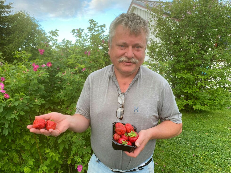 De nyplukka jordbærene jordbærdyrker Pål Gabrielsen her viser frem er gedigne, og flere har en diameter på vel fem centimeter.
 Foto: Hallgeir Henriksen
